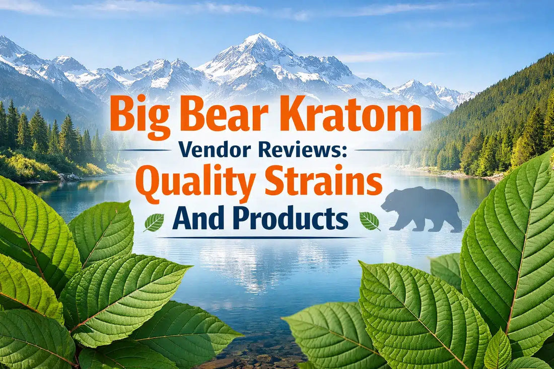 Big Bear Kratom Vendor Reviews, Quality Strains And Products