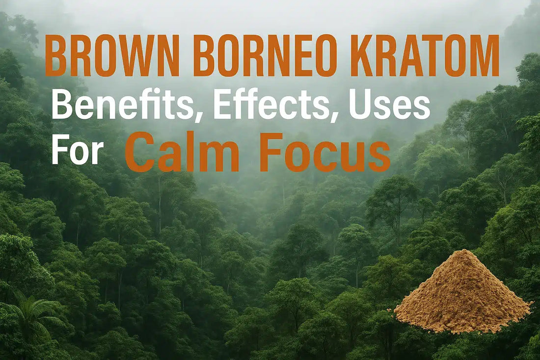 Brown Borneo Kratom Benefits, Effects, Uses For Calm Focus
