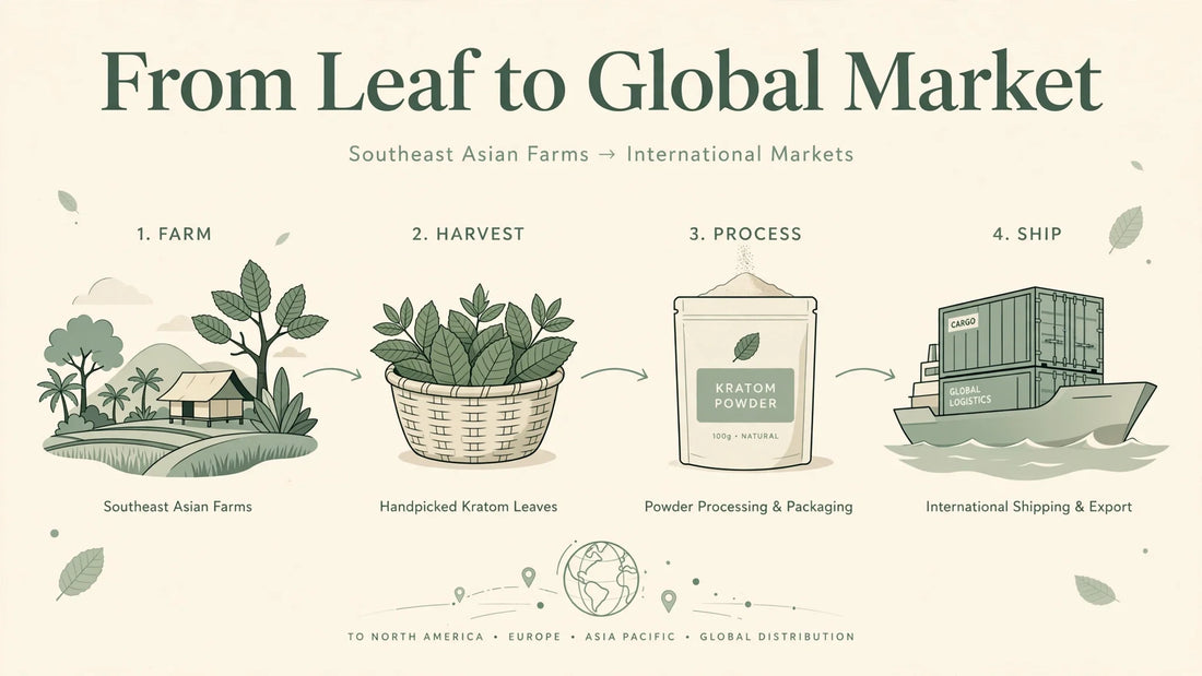 from leaf to global market
