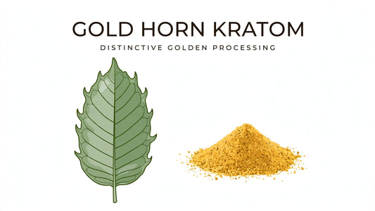GOLD HORN KRATOM, DISTINCTIVE GOLDEN PROCESSING