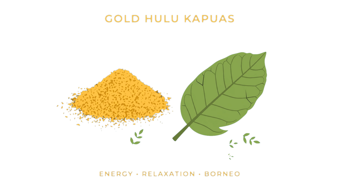 Gold Hulu Kapuas Kratom