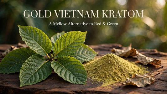 Gold Vietnam Kratom