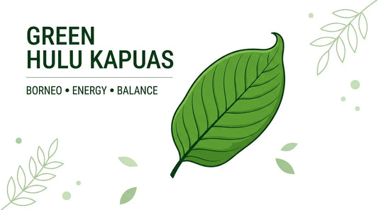 GREEN HULU KAPUAS”  “BORNEO • ENERGY • BALANCE