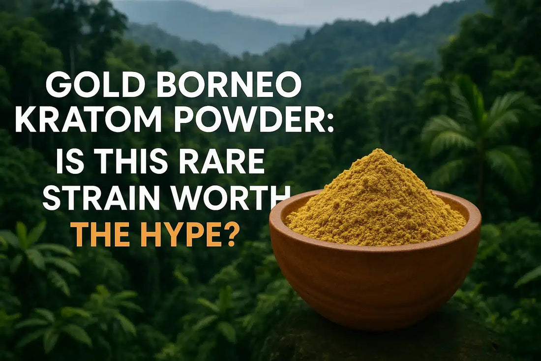 Gold Borneo Kratom Powder: Is This Rare Strain Worth The Hype?