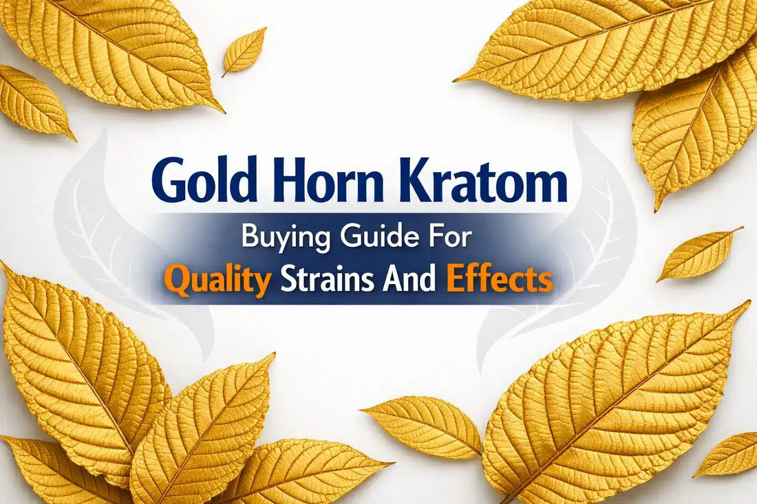 Gold Horn Kratom Buying Guide For Quality Strains And Effects