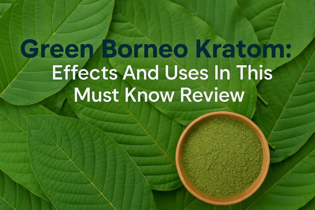 Green Borneo Kratom: Effects And Uses In This Must Know Review