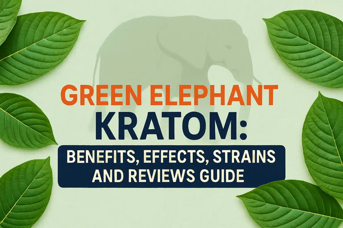 Green Elephant Kratom Benefits Effects Strains Reviews 2026