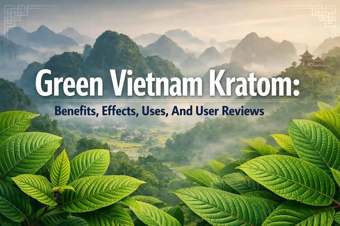 Green Vietnam Kratom Benefits, Effects, Uses, And User Reviews