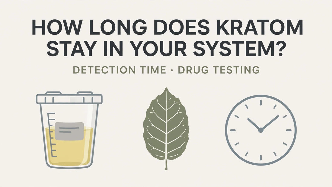 HOW LONG DOES KRATOM STAY IN YOUR SYSTEM