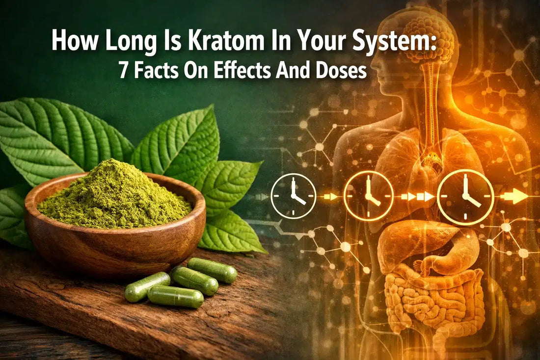 How Long Is Kratom In Your System: 7 Facts On Effects And Doses