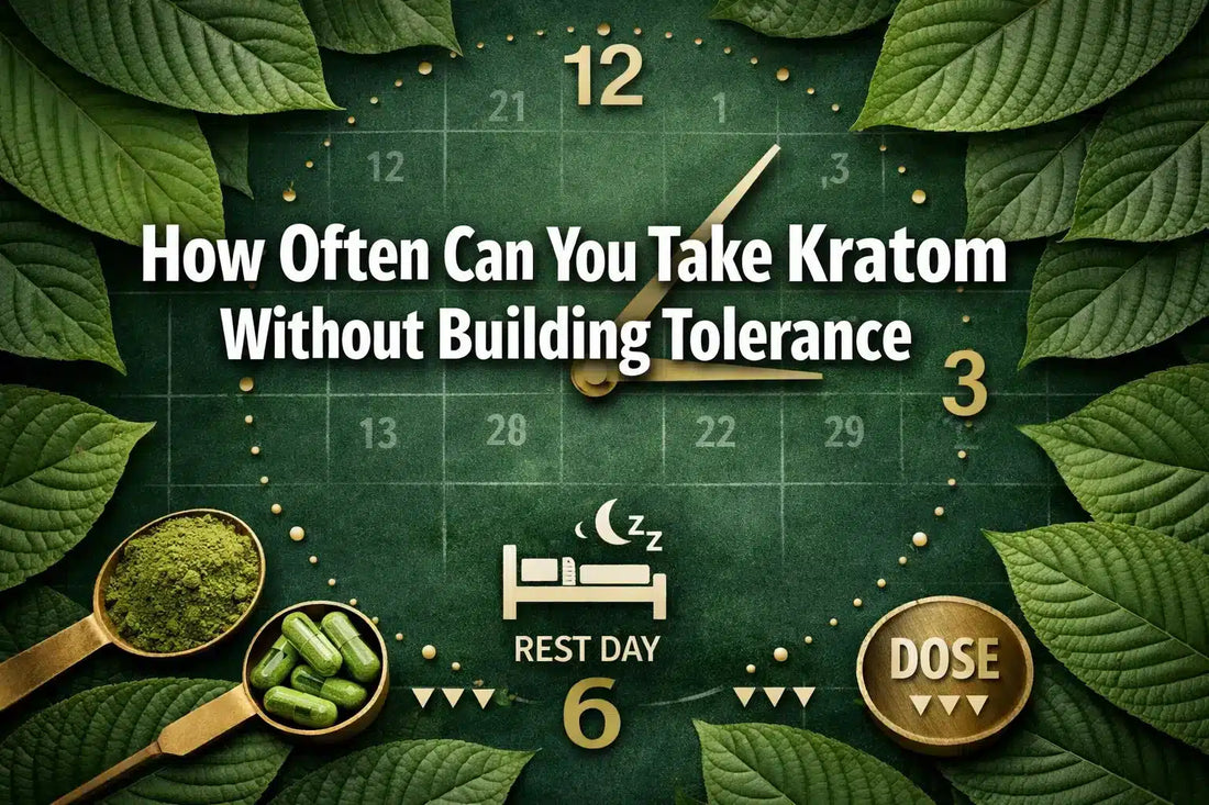 How Often Can You Take Kratom Without Building Tolerance