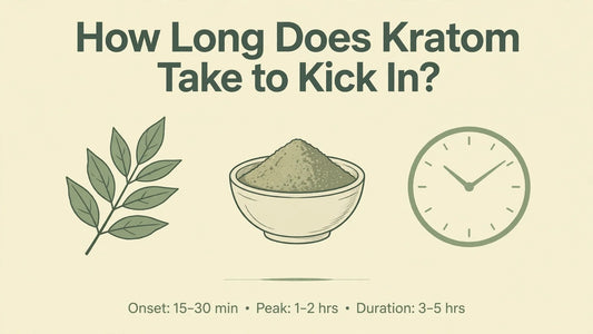 How Long Does Kratom Take to Kick In? Onset, Peak and Duration