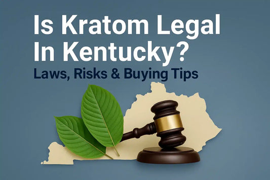 Is Kratom Legal In Kentucky? Laws, Risks, And Buying Tips