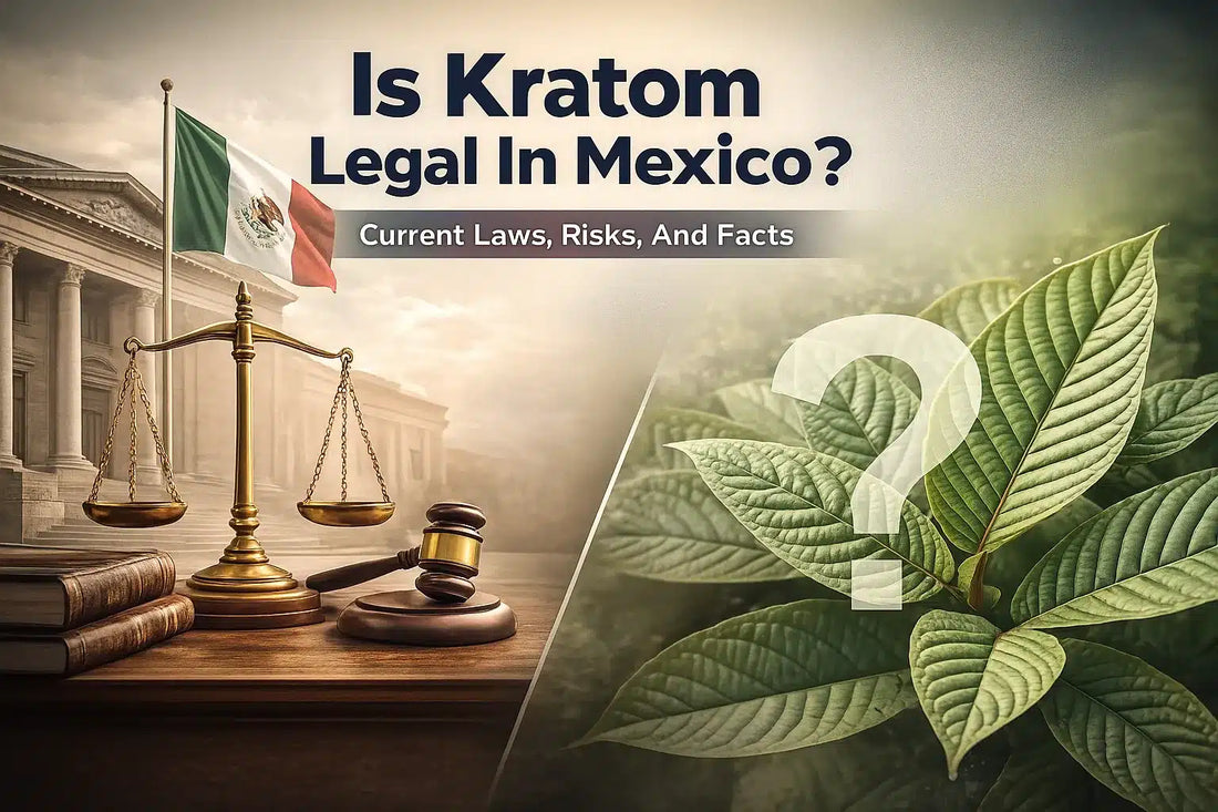 Is Kratom Legal In Mexico? Current Laws, Risks, And Facts