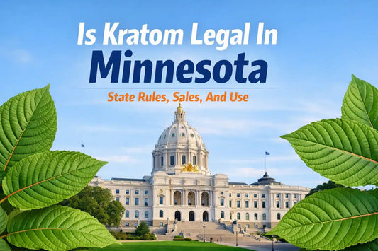Is Kratom Legal In Minnesota State Rules, Sales, And Uses
