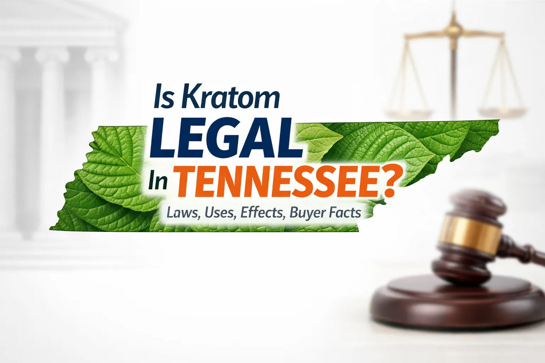 Is Kratom Legal In Tennessee? Laws, Uses, Effects, Buyer Facts