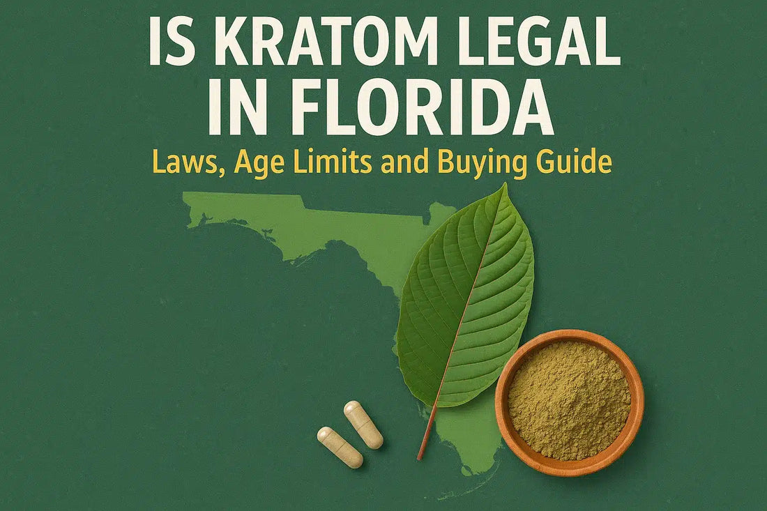 Is Kratom Legal in Florida, Laws, Age Limits and Buying Guide
