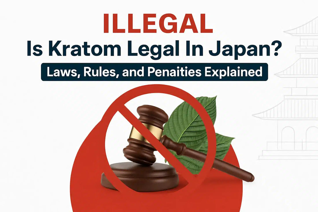 Is Kratom Legal In Japan? Laws, Rules, and Penalties Explained