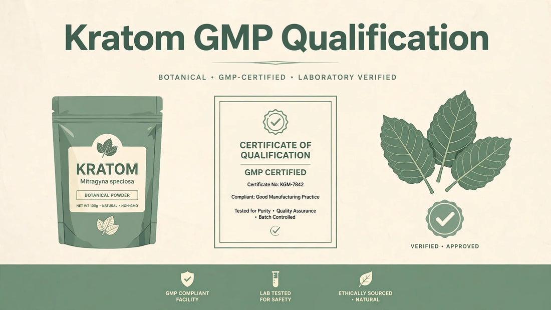 GMP Standards in the Kratom Industry