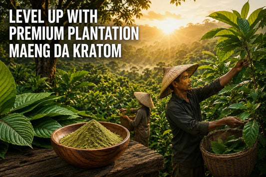 Plantation Maeng Da Kratom
