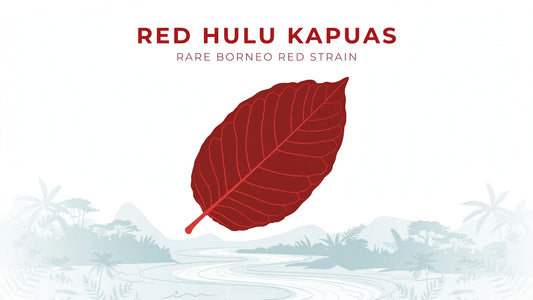 RED HULU KAPUAS RARE BORNEO RED STRAIN