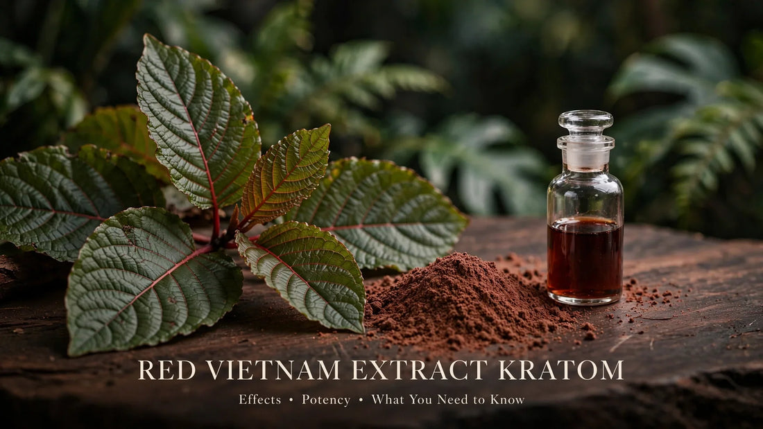 RED VIETNAM EXTRACT KRATOM