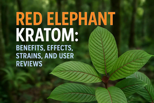 Red Elephant Kratom: Benefits, Effects, Strains, and User Reviews