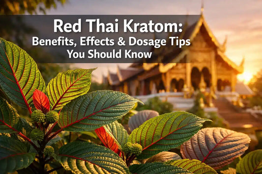 Red Thai Kratom Benefits, Effects, Dosage Tips You Should Know