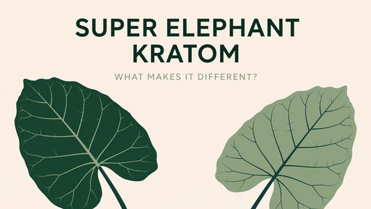 SUPER ELEPHANT KRATOM