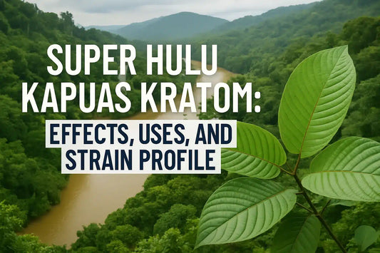Super Hulu Kapuas Kratom Effects, Uses, and Strain Profile