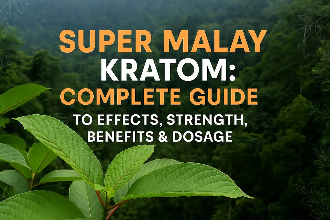 Super Malay Kratom: The Complete Guide to Effects, Strength, Benefits, Dosage, and Smart Buying