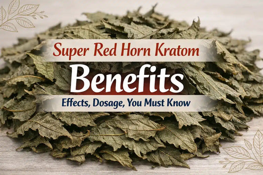 Super Red Horn Kratom Benefits, Effects, Dosage You Must Know
