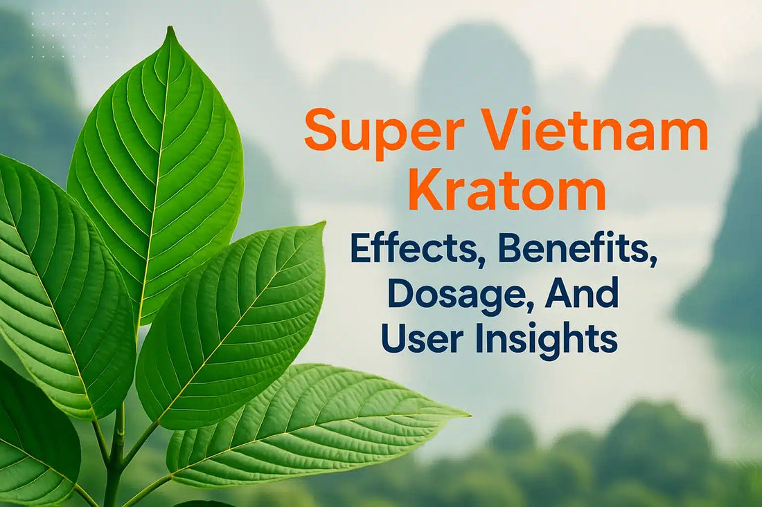 Super Vietnam Kratom Effects, Benefits, Dosage, And User Insights