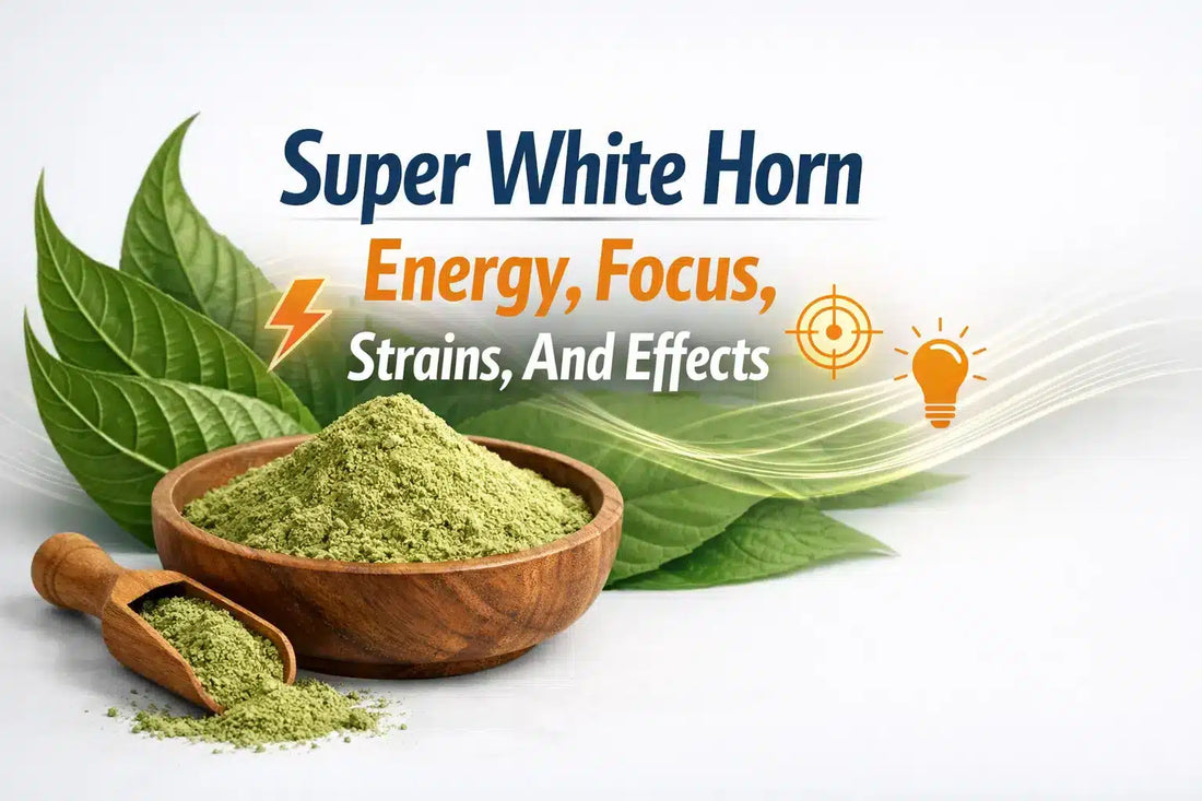 Super White Horn Kratom Energy, Focus, Strains, And Effects