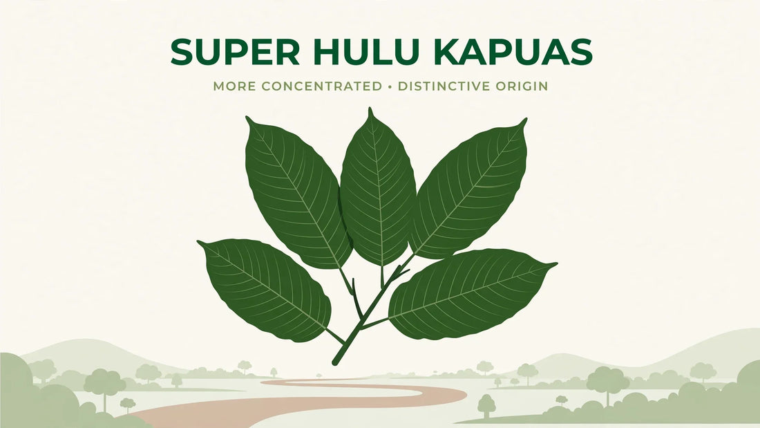 Super Hulu Kapuas Kratom