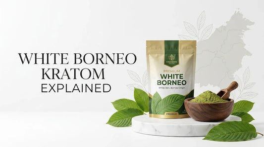 WHITE BORNEO KRATOM EXPLAINED