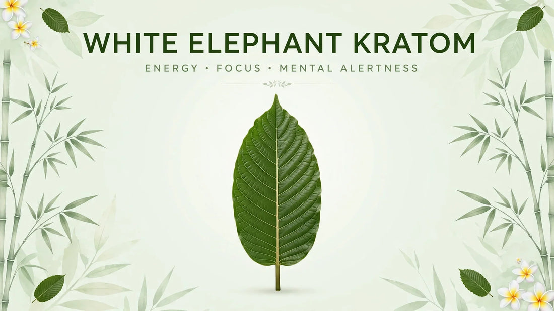 WHITE ELEPHANT KRATOM