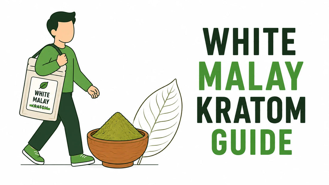 White Malay Kratom Guide: Uses, Quality And Buying Tips