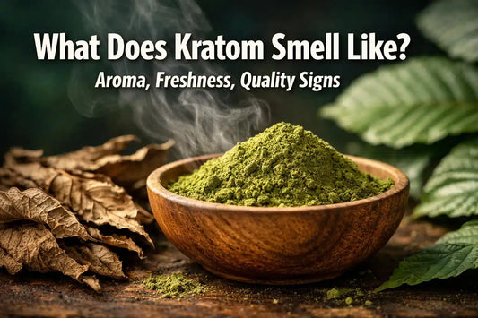 What Does Kratom Smell Like? Aroma, Freshness, Quality Signs