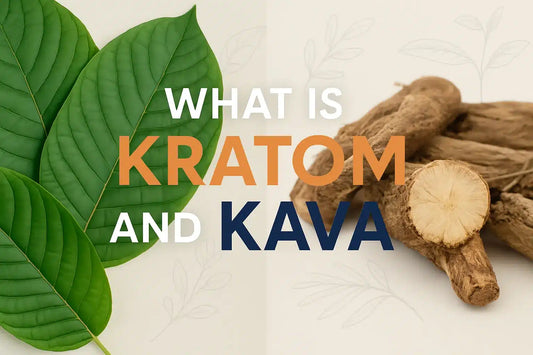 What Is Kratom And Kava Uses Effects Benefits Powder Drinks