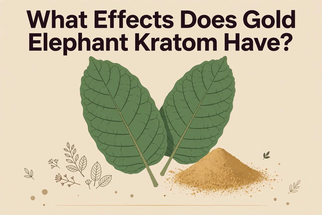 What Effects Does Gold Elephant Kratom Have