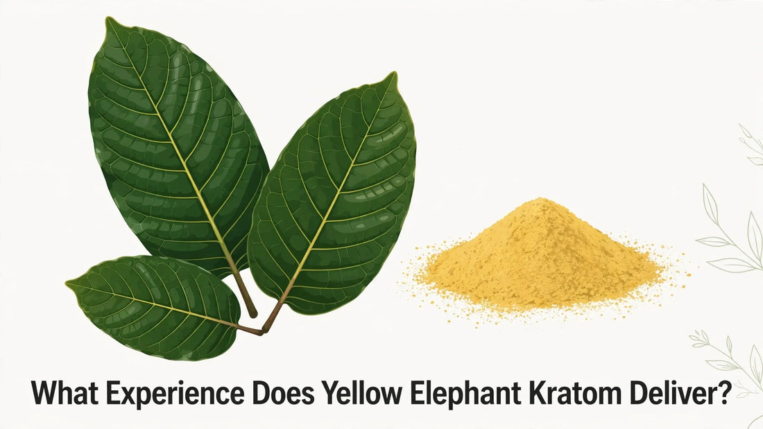 What Experience Does Yellow Elephant Kratom Deliver