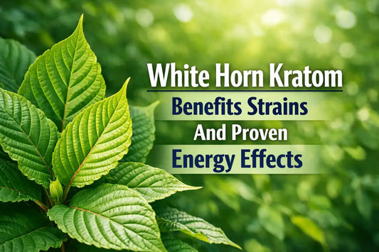 White Horn Kratom Benefits Strains And Proven Energy Effects