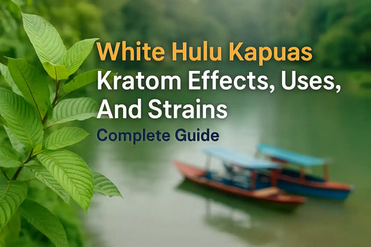 White Hulu Kapuas Kratom Effects, Uses, And Strains