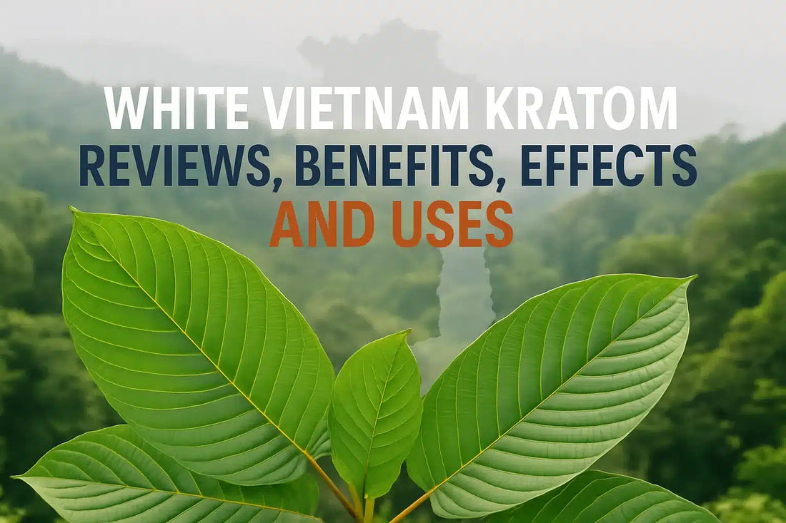White Vietnam Kratom Reviews, Benefits, Effects And Uses