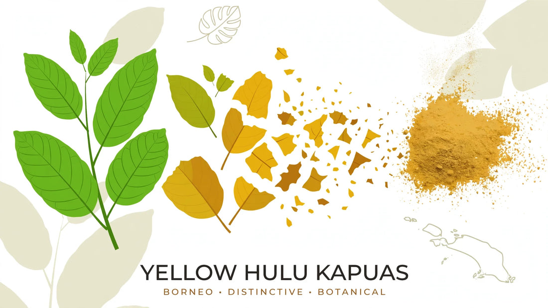 Yellow Hulu Kapuas Kratom