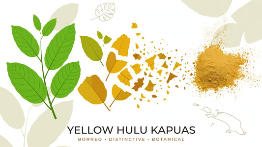 Yellow Hulu Kapuas Kratom