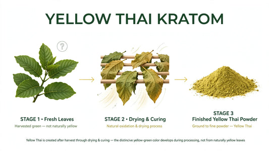 YELLOW THAI KRATOM