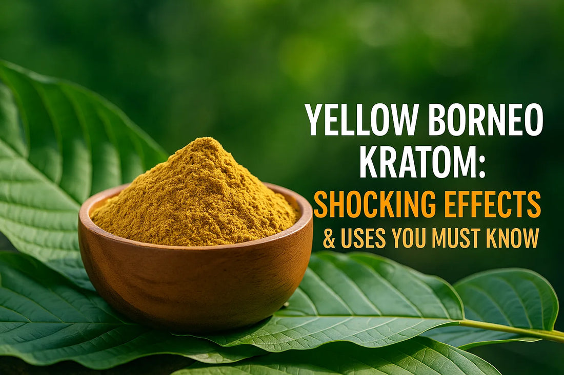 Yellow Borneo Kratom: Shocking Effects & Uses You Must Know
