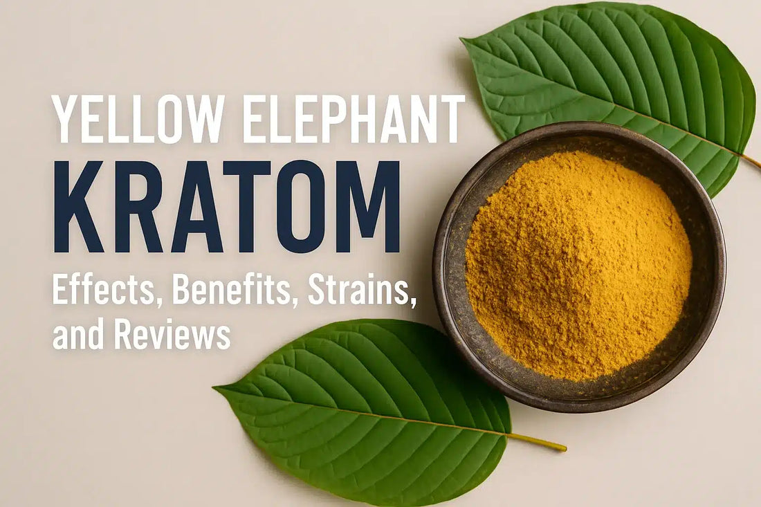 Yellow Elephant Kratom Effects Benefits Strains Reviews Guide